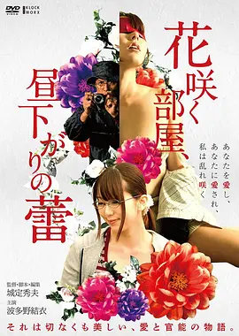 电影 霸王别姬 海报